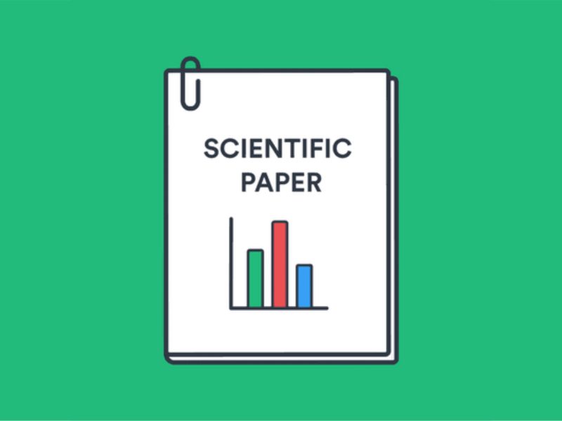 Scientific Paper